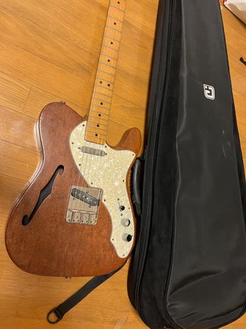 FENDER (フェンダー) / ※ケース無 Fender Mexico Telecaster Thinline 現状品