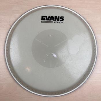 EVANS (エバンス) / EC1100 コンガヘッド D0526