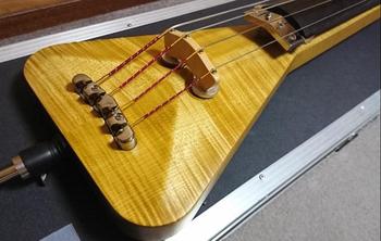 warwick / Warwick Customshop Triumph 4-String Upright Bass 