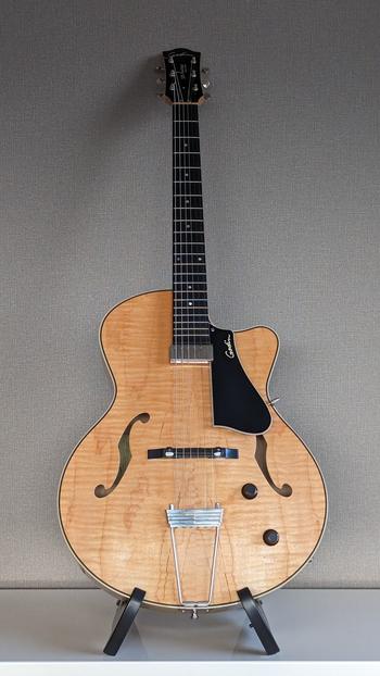 期間限定値引: Godin / Godin 5th Avenue Jazz Natural