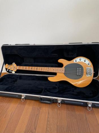 MUSICMAN (ミュージックマン) / MUSICMAN Stingray 3 EQ H 