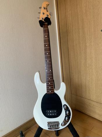 MUSICMAN (ミュージックマン) / 【7/31まで】Musicman stingray EX