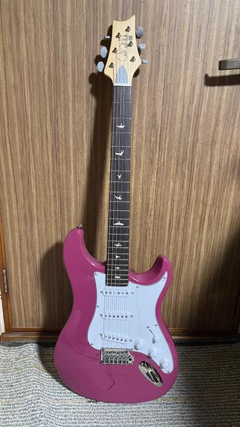 Paul Reed Smith / PRS SE Silver Sky Dragon FRUITE