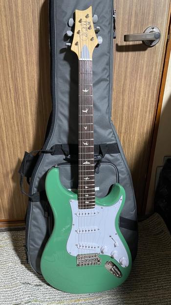 Paul Reed Smith (PRS) (ポールリードスミス) / SE Silver Sky Evergreen