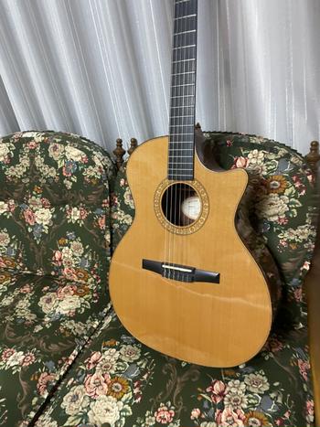 テイラー / Taylor ns74ce (エレガット) 値下げ中！