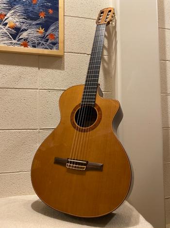 Taylor / ハカランダ単板 Taylor   NS72-LTD