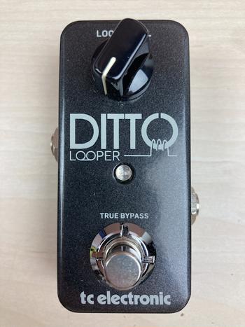 TC ELECTRONIC (ティーシーエレクトロニック) / Ditto Looper ルーパー D0698