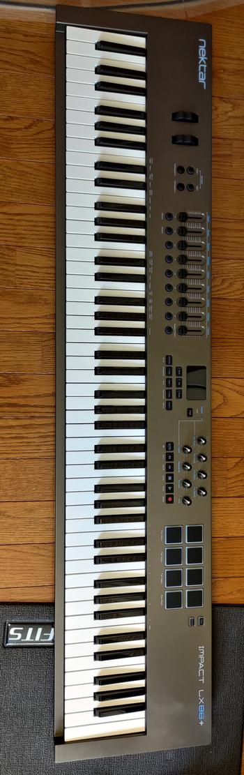 NEKTAR (ネクター) / IMPACT LX88+