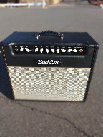 BAD CAT (バッドキャット) / Bad Cat