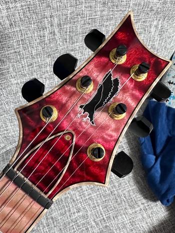 Paul Reed Smith (PRS) (ポールリードスミス) / PRS Private Stock Custom24