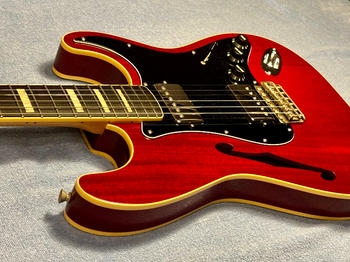 FENDER (フェンダー) / 【シャーザー様専用】ST/HO/2H