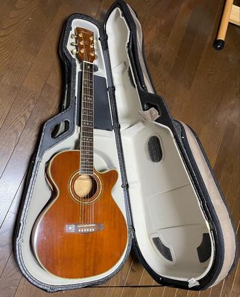 Ibanez (アイバニーズ) / アコギ