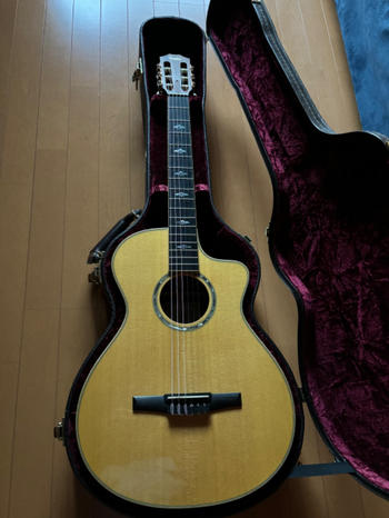 Taylor Guitars (テイラー) / maspsmily専用　テイラーのエレガット、812ce-N 2013年