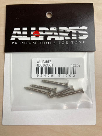 ALLPARTS (オールパーツ) / GS-3363-001 Pack of 5 Nickel Bridge mounting screws D1301