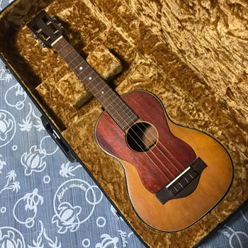 MARTIN (マーティン) / 超レア 世界に1本 1971 マーチン T-18 Tiple 4弦コンバージョン ハードケース付