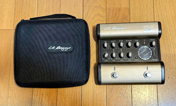 L.R.Baggs (エルアールバックス) / Venue DI