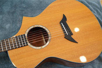 BREEDLOVE (ブリードラブ) / C22 M 1998年製