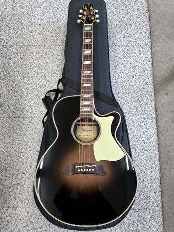 TAKAMINE (タカミネ) /  Takamine タカミネ TSP10CS エレアコ アコースティックギター島村楽器コラボモデル