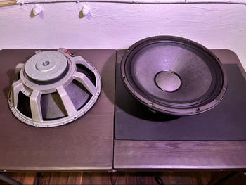 Electro-Voice (エレクトロボイス) / 15インチウーハー DL15BFH ※シリアルペア