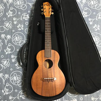 G String / 激レア G-String ジーストリング コア 6弦テナーウクレレ カスタム セミハードケース付
