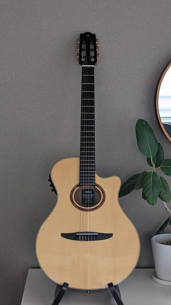 YAMAHA (ヤマハ) / エレガット / NTX900FM