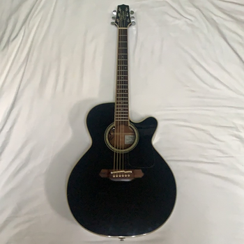 TAKAMINE (タカミネ) / TDP512 BK