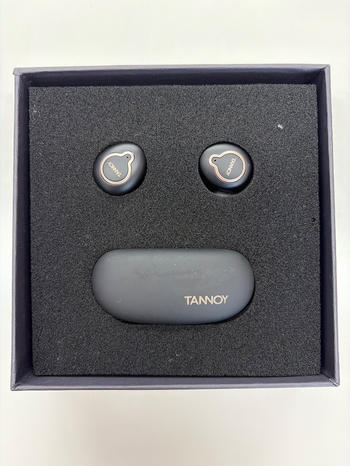 TANNOY (タンノイ) / LIFE BUDS 完全ワイヤレスイヤホン D1498