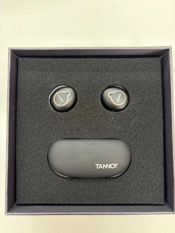 TANNOY (タンノイ) / LIFE BUDS 完全ワイヤレスイヤホン D1499