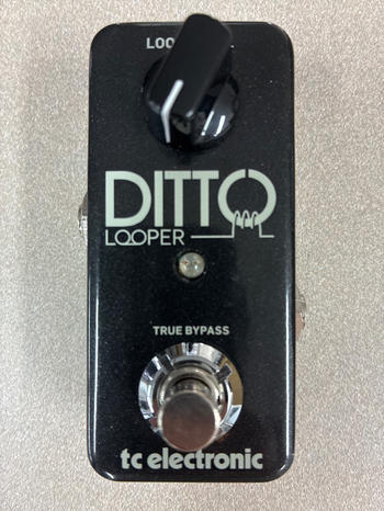 TC ELECTRONIC (ティーシーエレクトロニック) / Ditto Looper ルーパー D1465