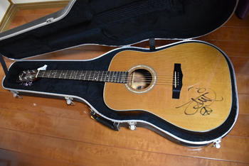 MORRIS (モーリス) / 佐藤タイジ所有ギター　直筆サイン入り　シアターブルック　THEATRE BROOK Morris M1003 LTD