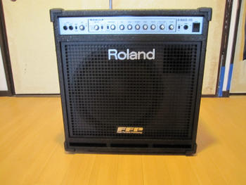 ROLAND (ローランド) / ROLAND 　D-BASS115