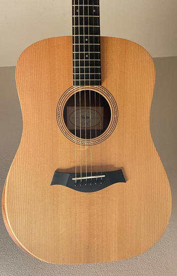 Taylor Guitars (テイラー) / Academy10