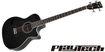 PLAYTECH (プレイテック) / PAB220BK アウトレット品