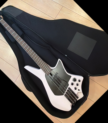 HEX Guitars / ZB400
