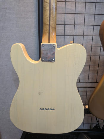 RS GUITARWORKS (アールエス ギターワークス) / Workhorse Special