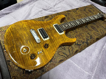 Paul Reed Smith (PRS) (ポールリードスミス) / Paul’s Guitar w/Brazilian Rosewood FB
