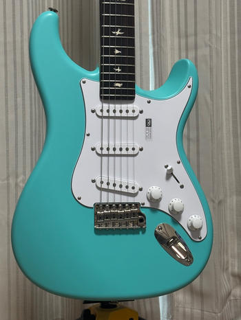 Paul Reed Smith (PRS) (ポールリードスミス) / 【限定1000本】PRS SILVER SKY WILD BLUE