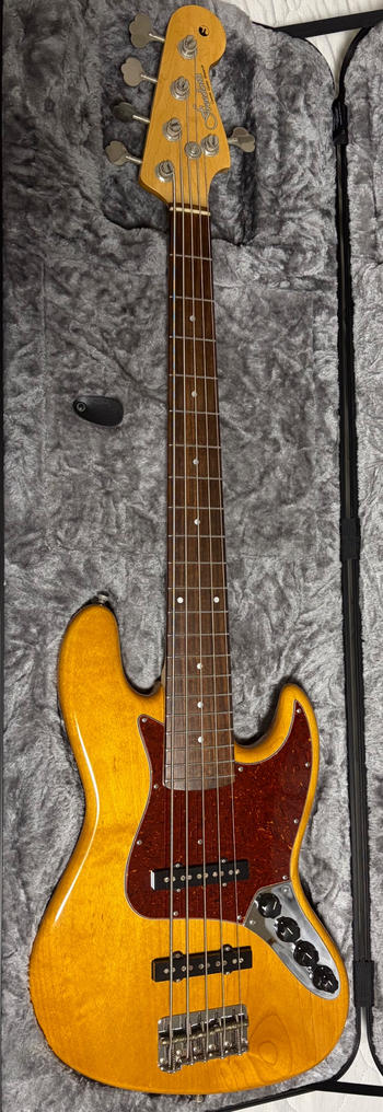 Freedom Custom Guitar (フリーダムカスタムギターリサーチ) / Freedom Custom Guitar Research Retro Series JB 5st Active
