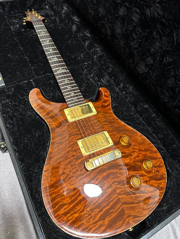 Paul Reed Smith (PRS) (ポールリードスミス) / Custom 22 Artist Package