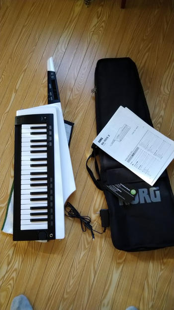 KORG (コルグ) / RK-100S 2WH キーター