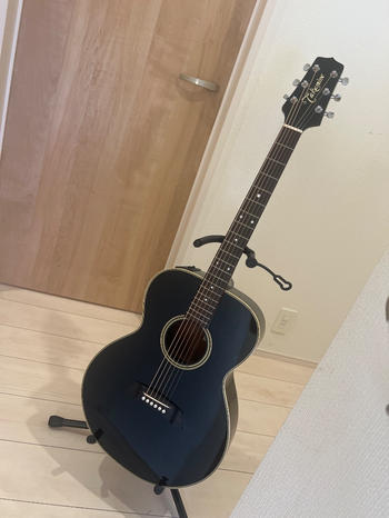 TAKAMINE (タカミネ) / タカミネ エレアコースティックギター PT-105