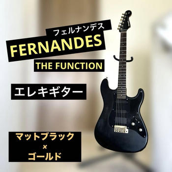 FERNANDES / 【希少】FERNANDES THE FUNCTION エレキギター マットブラック 金 フェルナンデス 