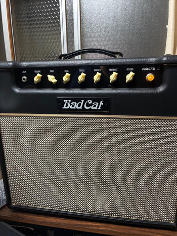 BAD CAT (バッドキャット) / Courga15
