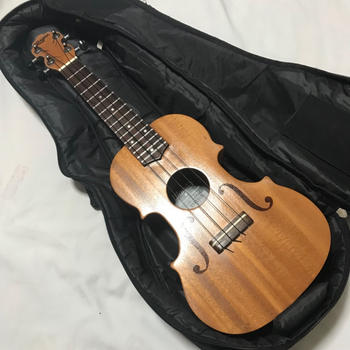 Wagas ワガス / 激レア Wagas バイオリン型 ソプラノウクレレ マホガニー