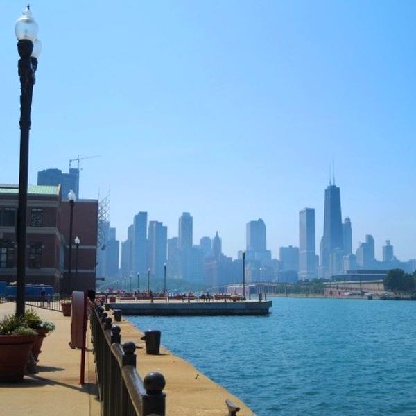 タイムレスティンバー